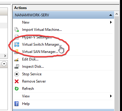 Virtual Switch Manager